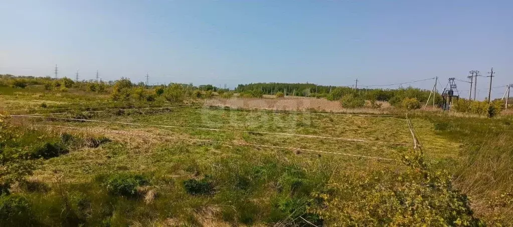 Участок в Калининградская область, Зеленоградский муниципальный округ, ... - Фото 1