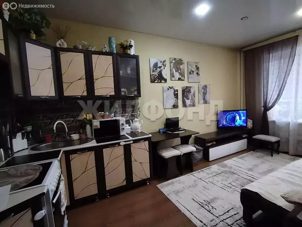 Квартира-студия: Абакан, улица Некрасова, 45 (25.5 м) - Фото 2