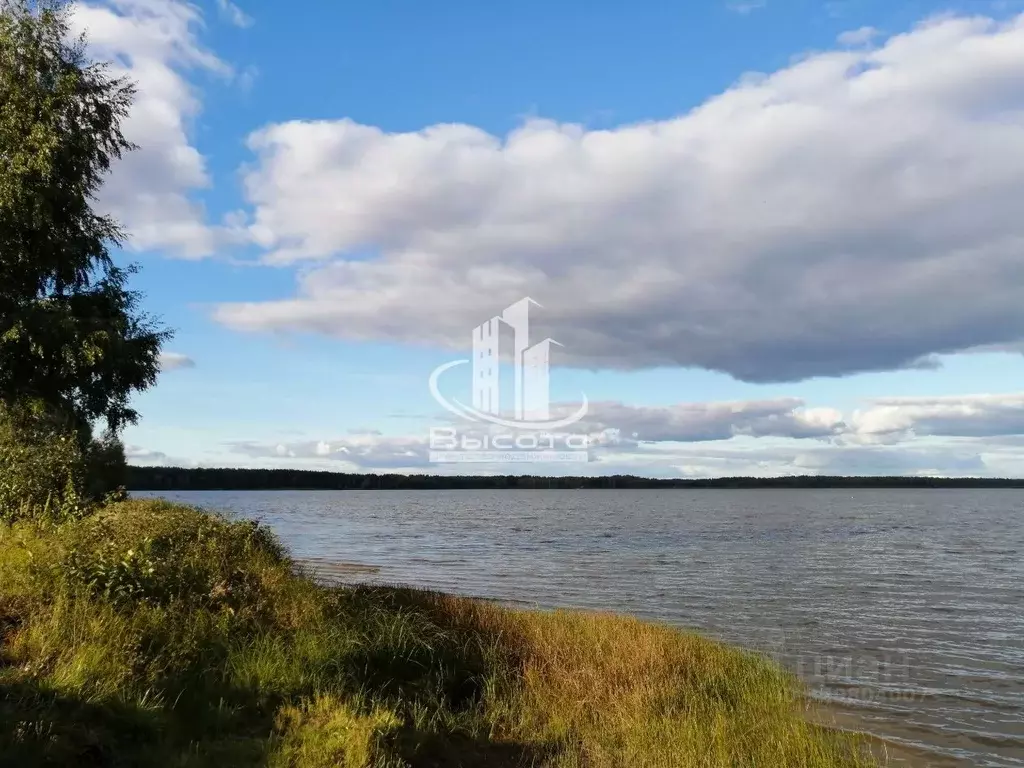 Дом в Рязанская область, Клепиковский муниципальный округ, пос. ... - Фото 1