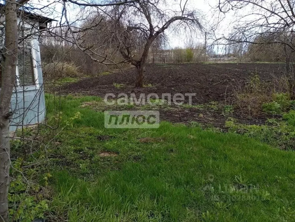 Дом в Курская область, Поселок Касторное муниципальное образование, ... - Фото 2