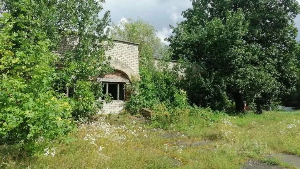 Помещение свободного назначения в Калининградская область, Славск ул. ... - Фото 2