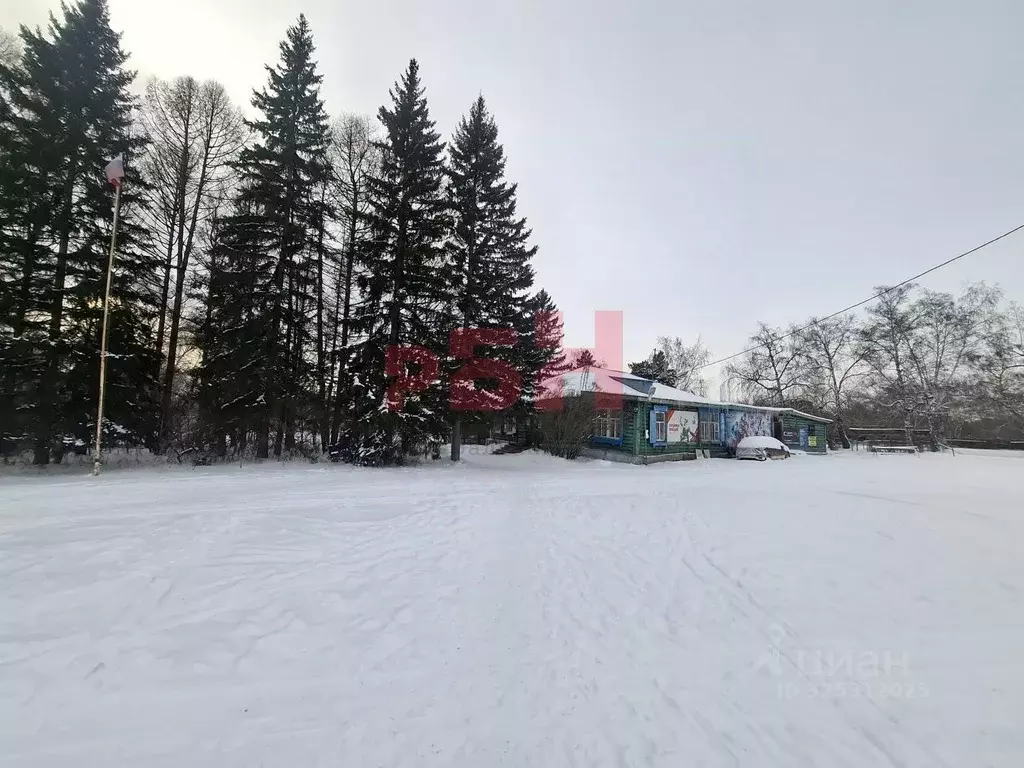 Помещение свободного назначения в Омская область, Омск Березовая ул., ... - Фото 2