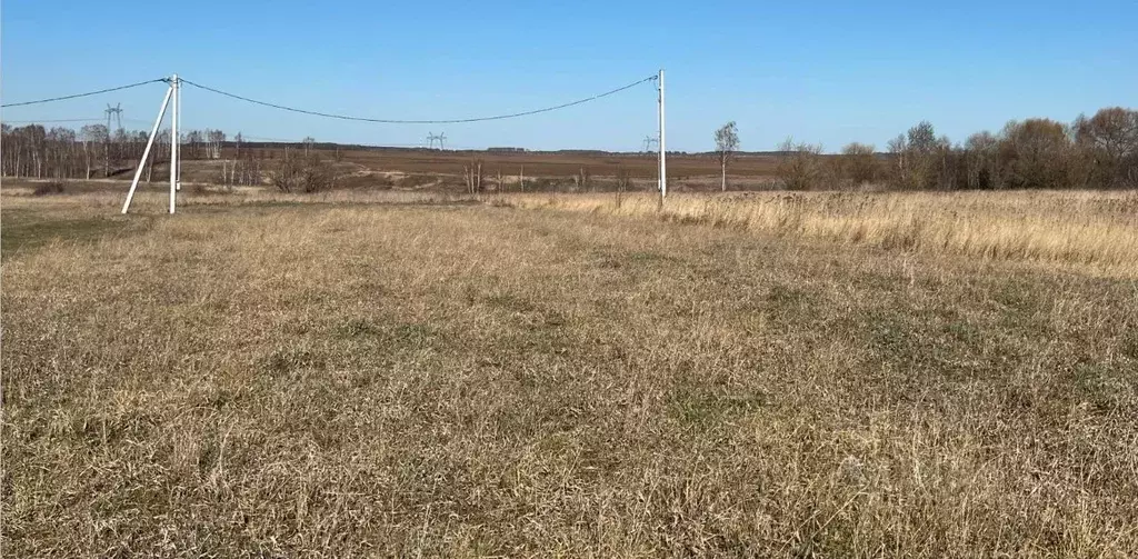 Участок в Московская область, Кашира городской округ, д. Никулино  ... - Фото 0