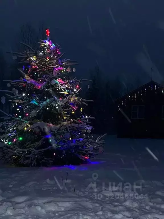 Дом в Новгородская область, Валдайский район, Ивантеевское с/пос, д. ... - Фото 1