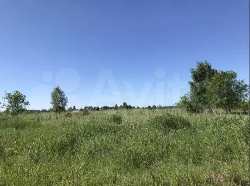 Участок 100 сот. (СНТ, ДНП) - Фото 1