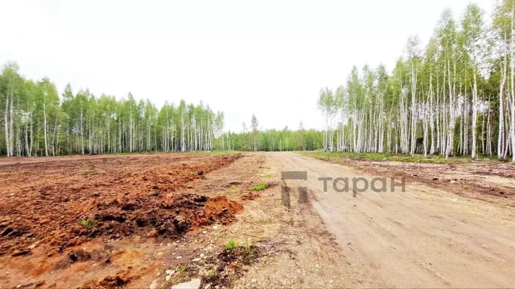 Участок в Челябинская область, Сосновский район, Кременкульское с/пос, ... - Фото 1