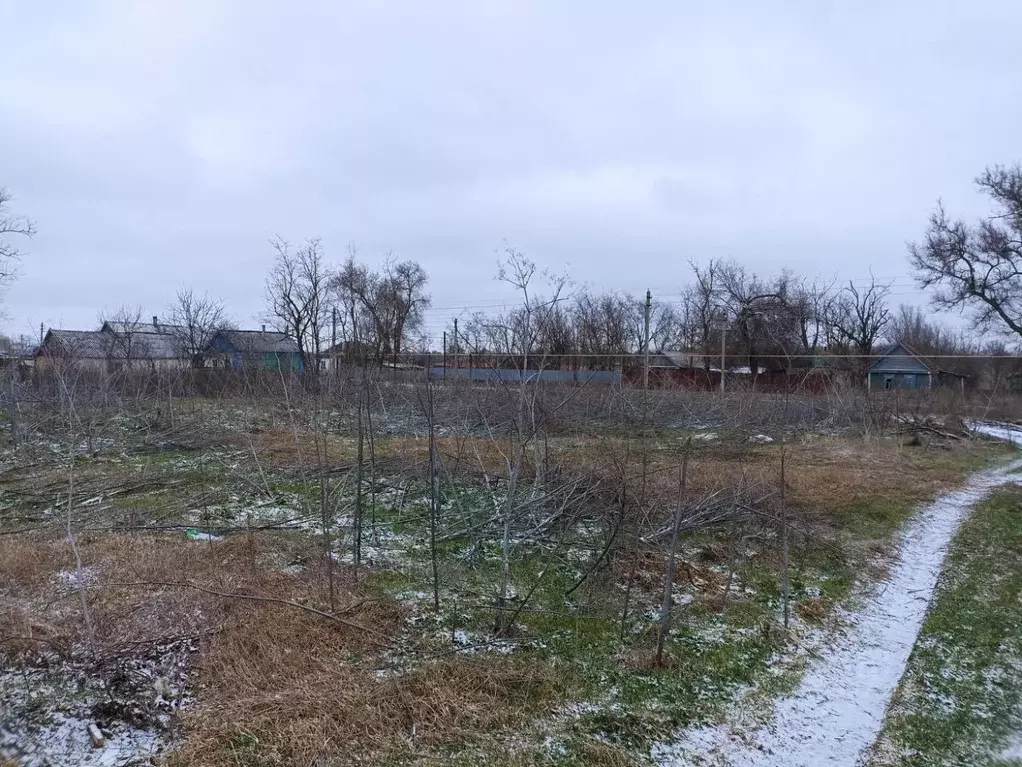 Участок в Ростовская область, Целинский район, с. Средний Егорлык ... - Фото 2