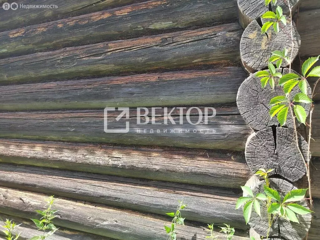 Дом в Красносельский район, Шолоховское сельское поселение, деревня ... - Фото 0
