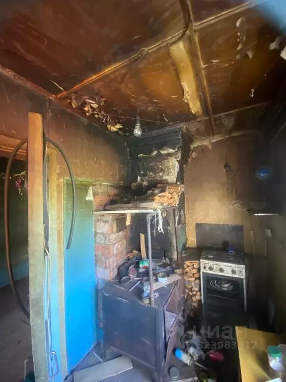 Помещение свободного назначения в Ленинградская область, Приморск ... - Фото 1