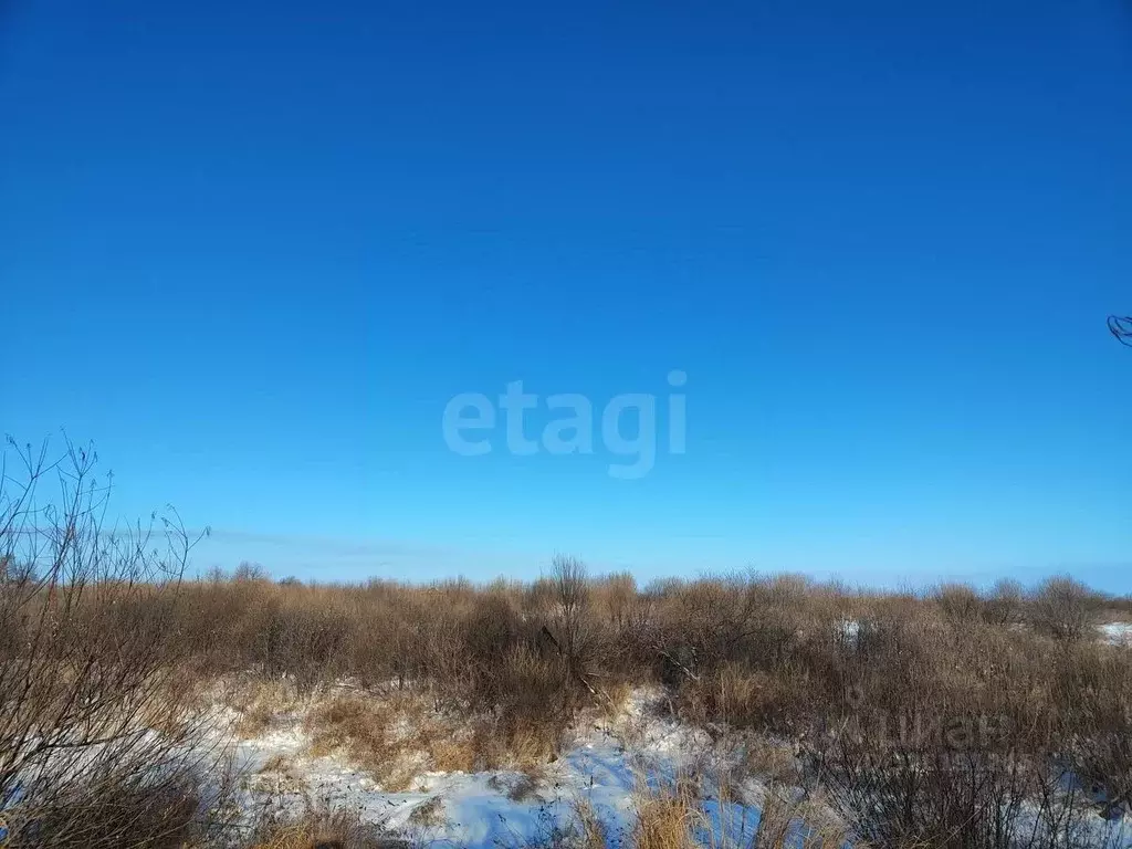 Участок в Амурская область, Благовещенск Левобережье тер.,  (15.0 ... - Фото 1