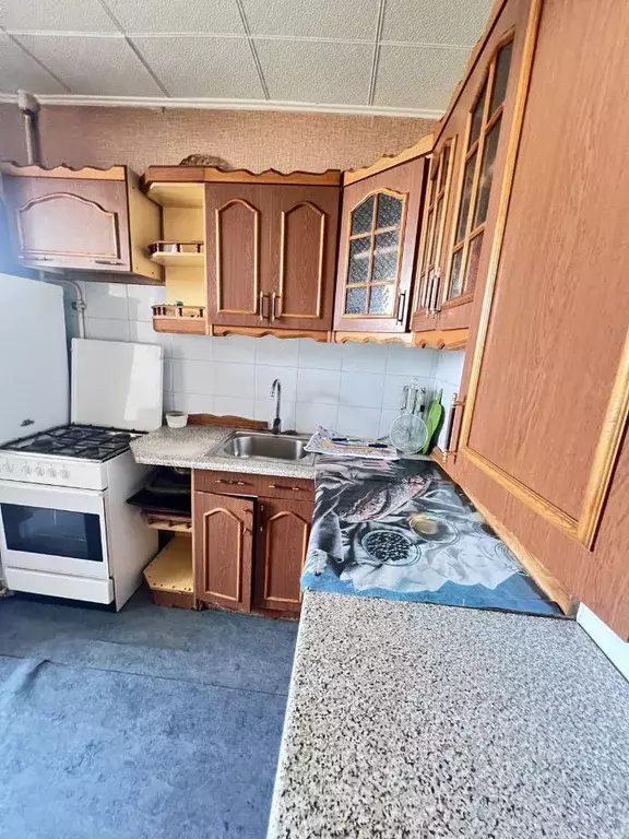 2-к кв. Курганская область, Курган ул. Бажова, 71 (50.0 м) - Фото 0