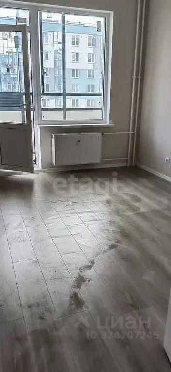 Студия Ленинградская область, Всеволожский район, Заневское городское ... - Фото 2