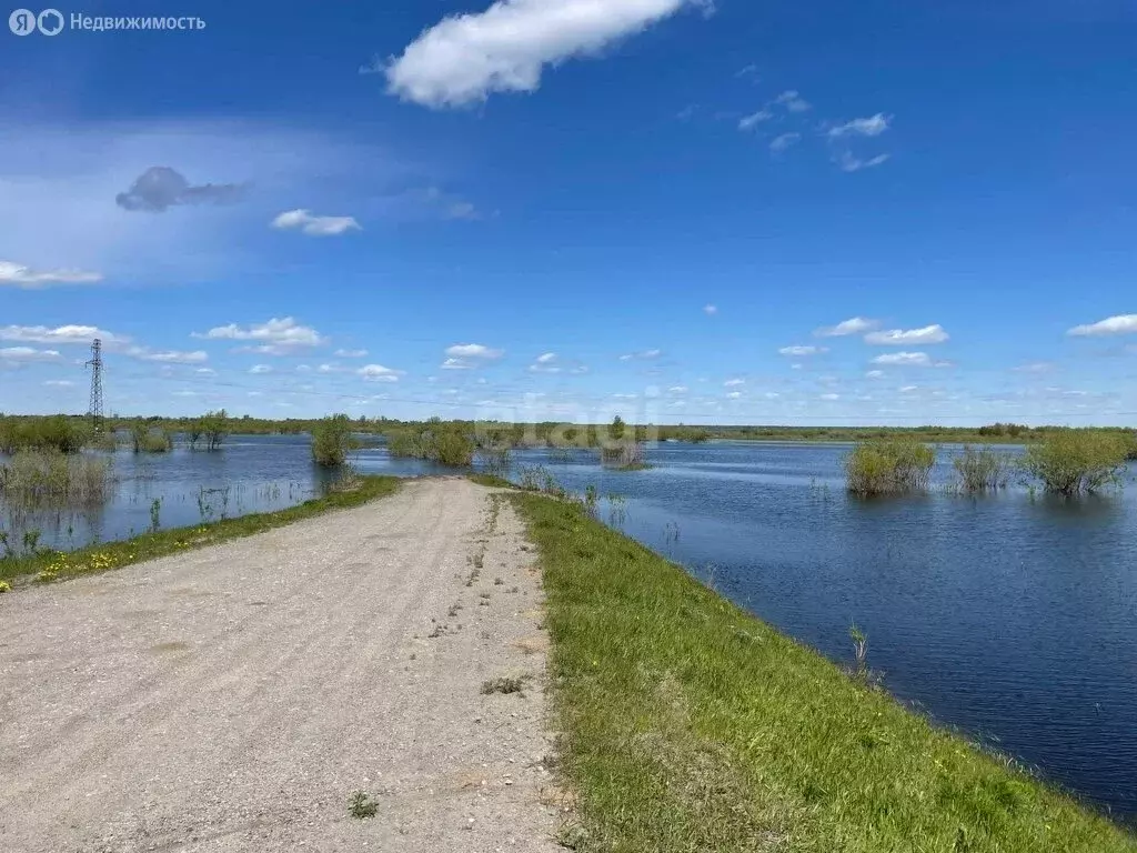 Участок в Ялуторовский район, деревня Криволукская (700 м) - Фото 0