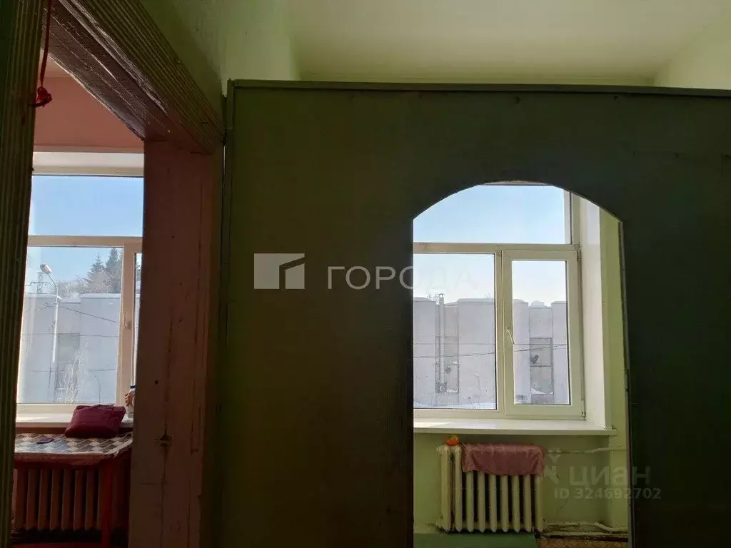 1-к кв. Новосибирская область, Новосибирск ул. Гоголя, 225 (24.1 м) - Фото 1