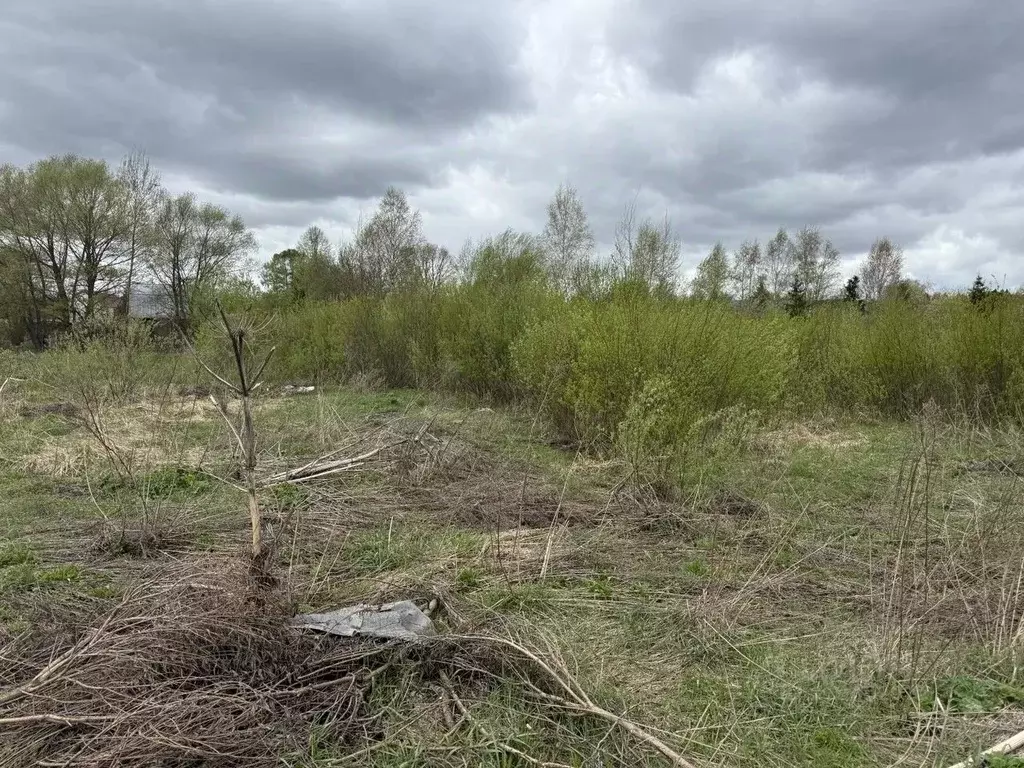 Участок в Московская область, Пушкинский городской округ, д. ... - Фото 1