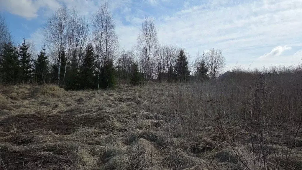 Участок в Московская область, Сергиево-Посадский городской округ, д. ... - Фото 1