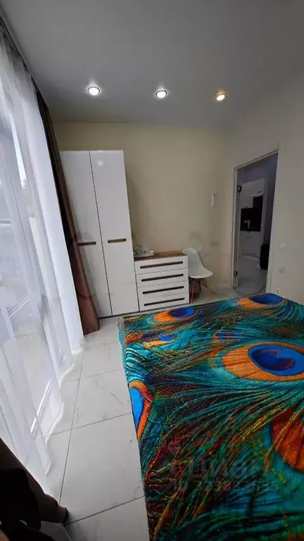 2-к кв. Краснодарский край, Сочи ул. Яна Фабрициуса, 64/2 (35.0 м) - Фото 2