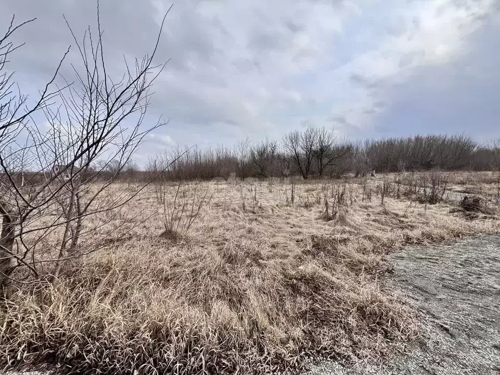 Участок в Белгородская область, Старый Оскол Фиалка садовые участки, ... - Фото 0