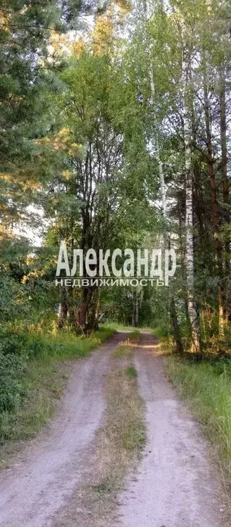 Участок в Ленинградская область, Приозерский район, Кузнечное пгт  ... - Фото 2