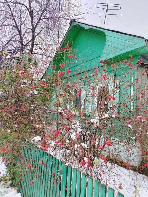 Дом в Иркутская область, Усолье-Сибирское ул. Щорса, 6 (34 м) - Фото 1