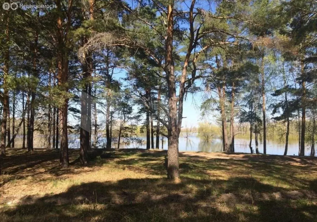 Участок в Тюменский муниципальный округ, деревня Криводанова (13.64 м) - Фото 1