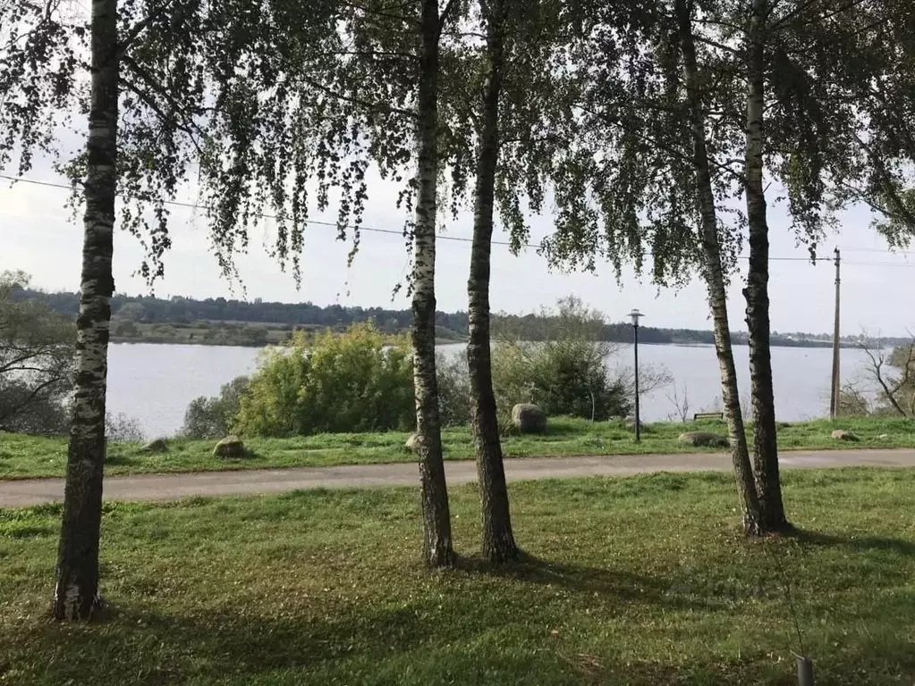 3-к кв. Псковская область, Псковский район, Писковичская волость, д. ... - Фото 1