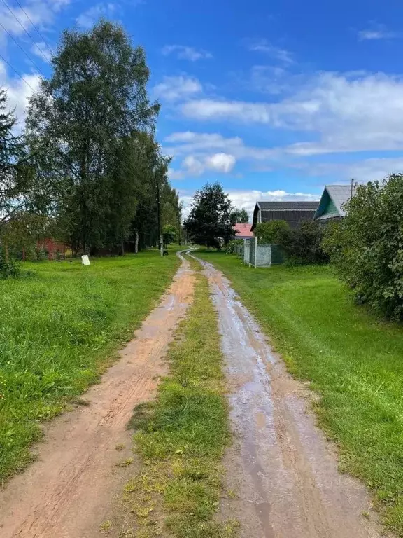 Участок в Тверская область, Старицкий муниципальный округ, д. Каленицы ... - Фото 1