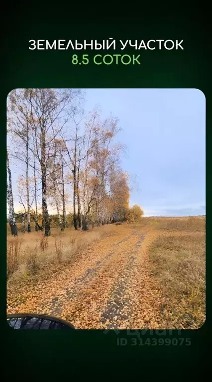 Участок в Курская область, Курский район, Нижнемедведицкий сельсовет  ... - Фото 0