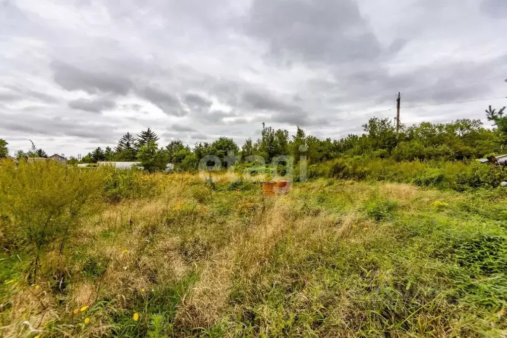 Участок в Еврейская автономная область, Смидовичский район, Энтузиаст ... - Фото 1