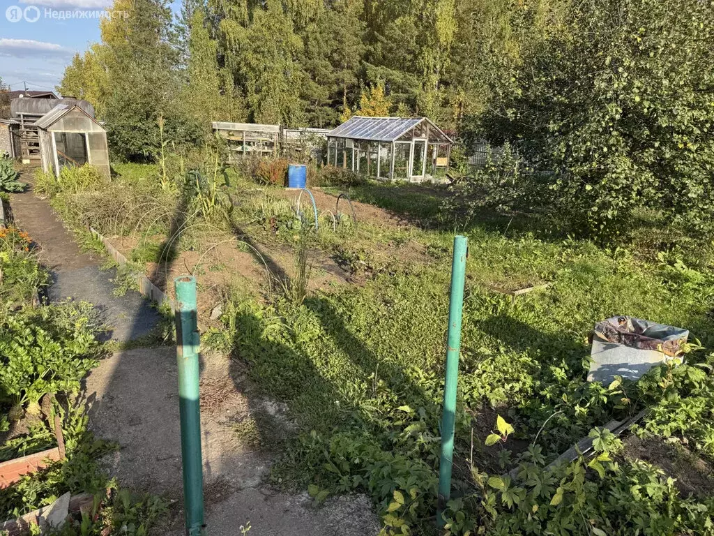 Участок в Свердловская область, Белоярский муниципальный округ, СНТ ... - Фото 1