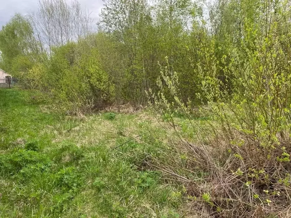 Участок в Московская область, Клин городской округ, Надежда садовое ... - Фото 2