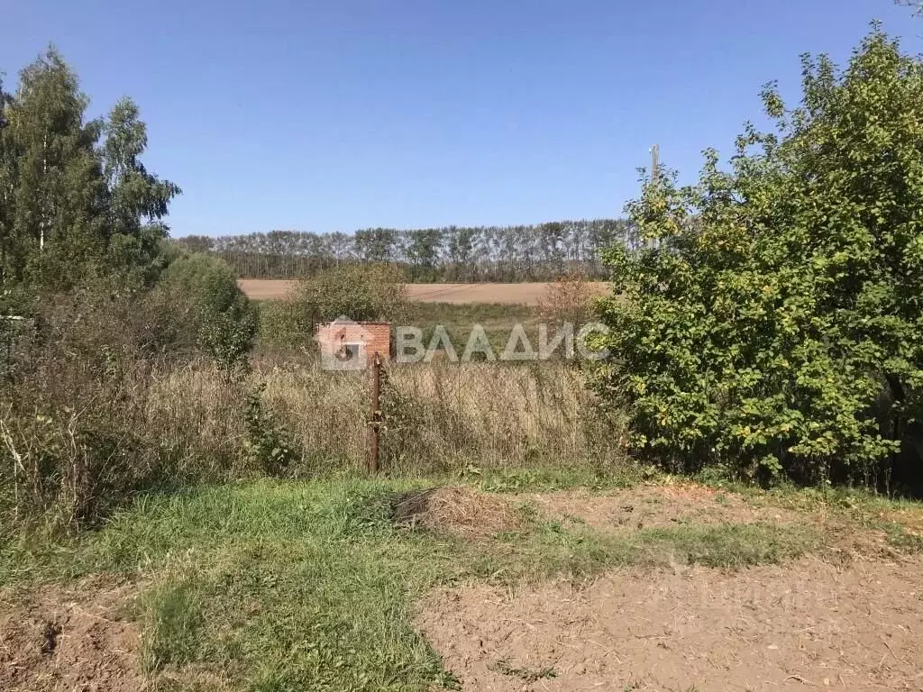 Участок в Владимирская область, Суздальский район, с. Новоалександрово ... - Фото 0