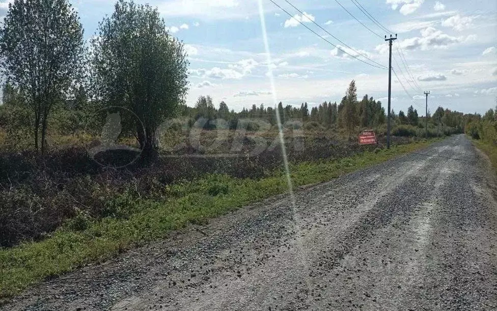 Участок в Тюменская область, с. Ярково ул. Черемуховая (10.0 сот.) - Фото 1