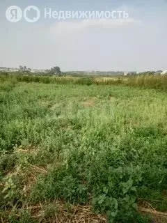 Участок в Тюменская область, Ишимский муниципальный округ, село ... - Фото 1