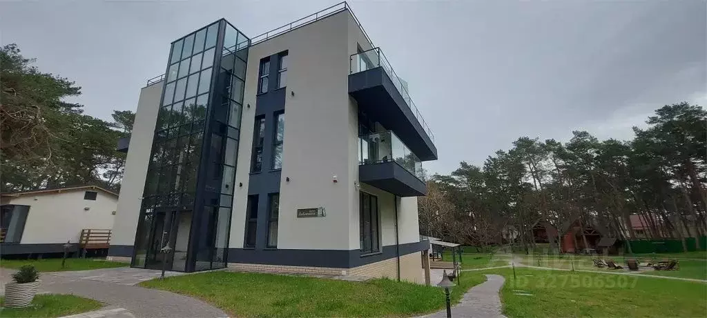 Комната Калининградская область, Зеленоградский муниципальный округ, ... - Фото 1