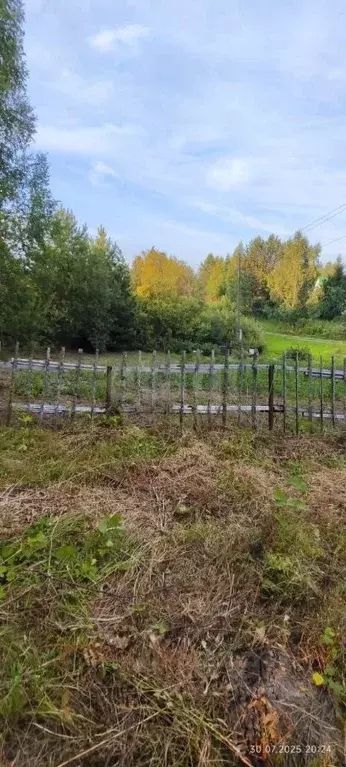 Участок в Томская область, Томский район, Богашевское с/пос, д. ... - Фото 1