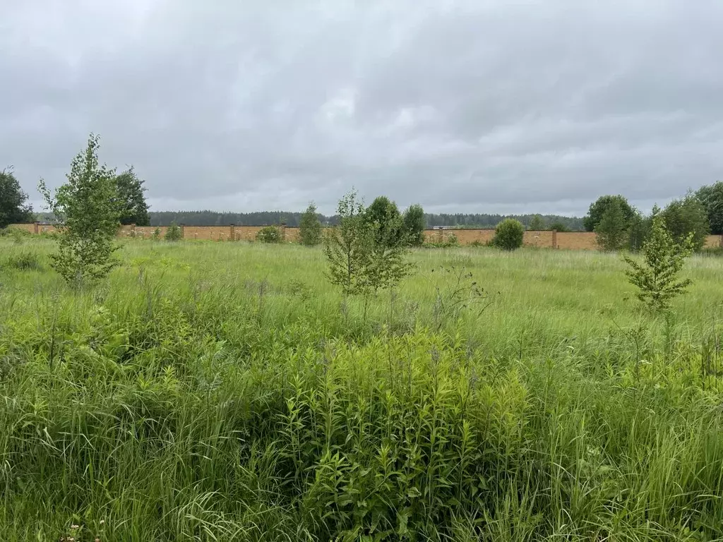 Участок в Москва № 45А кв-л,  (160.0 сот.) - Фото 2