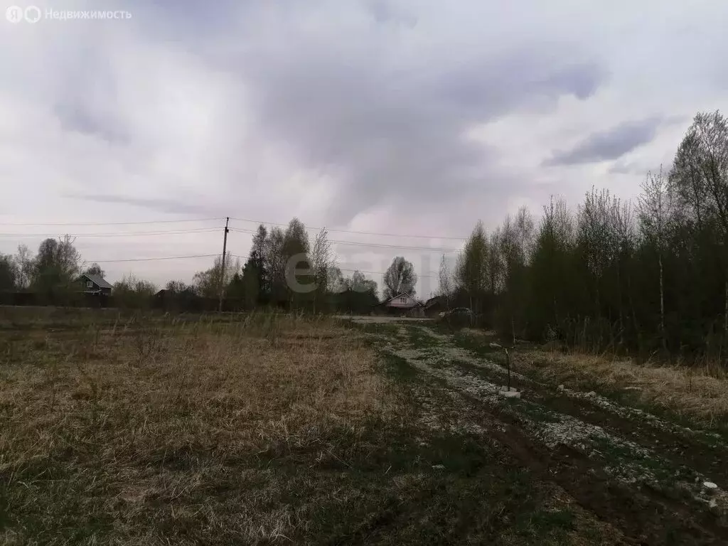 Участок в село Борковка, территория сельскохозяйственный квартал ... - Фото 0
