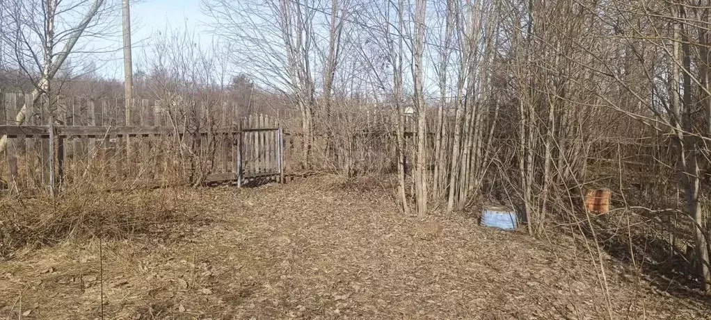 Участок в Ленинградская область, Волховский район, Свирицкое с/пос, д. ... - Фото 1