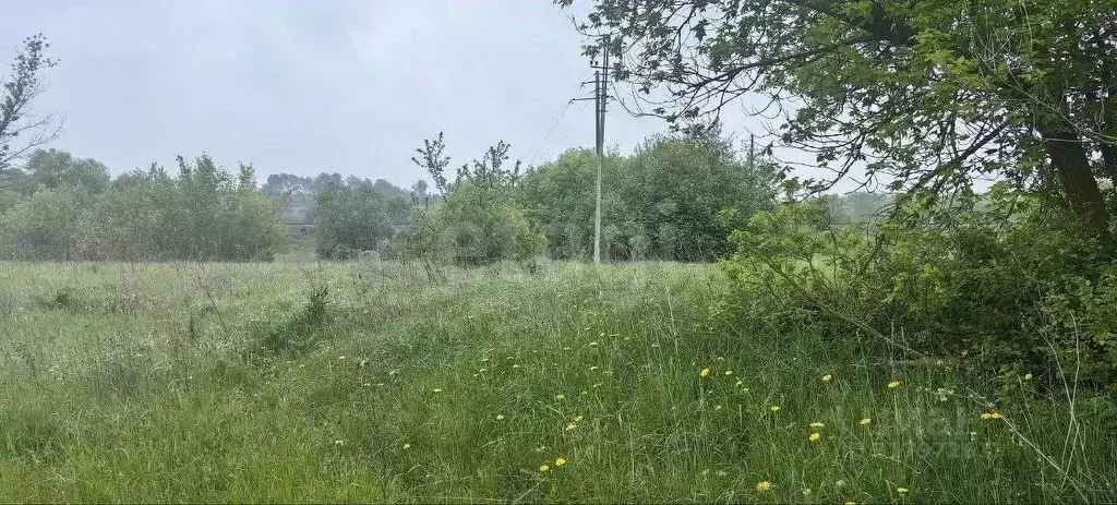 Участок в Липецкая область, Лебедянский район, Покрово-Казацкий ... - Фото 1