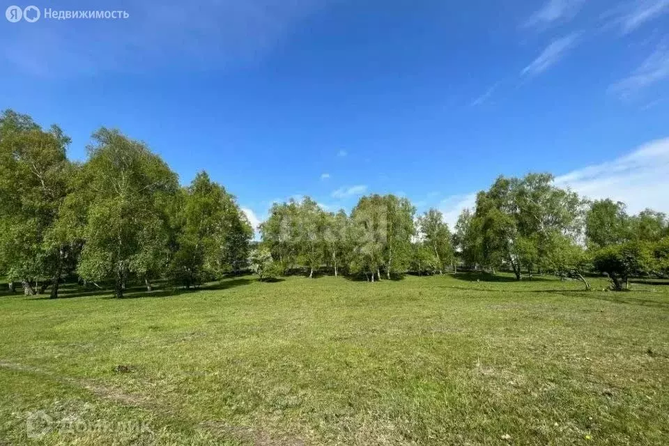 Участок в Шебалинский район, село Черга (15 м) - Фото 1