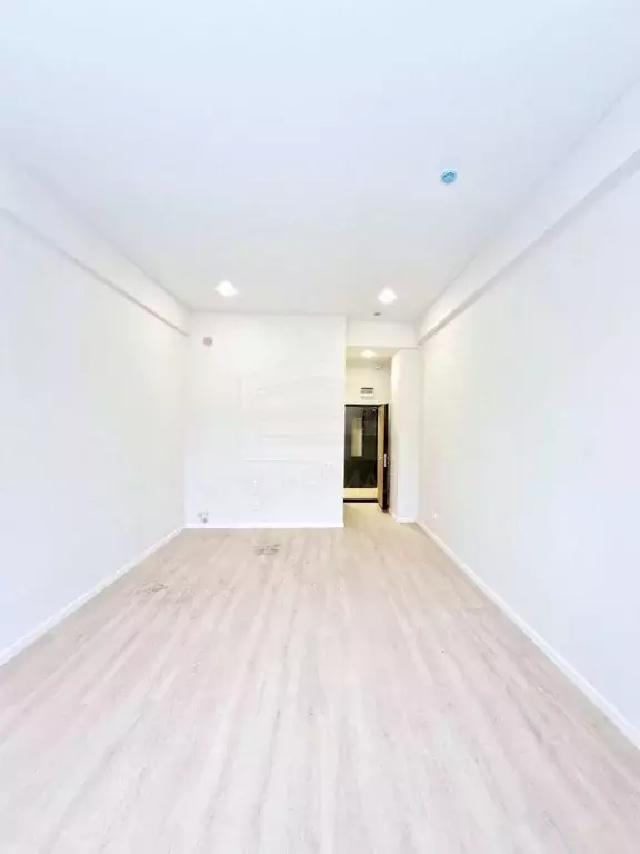 Студия Московская область, Люберцы Октябрьский просп., 403 (24.3 м) - Фото 2