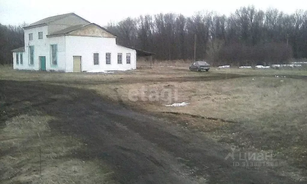 Помещение свободного назначения в Башкортостан, Стерлитамак Южная ул., ... - Фото 0