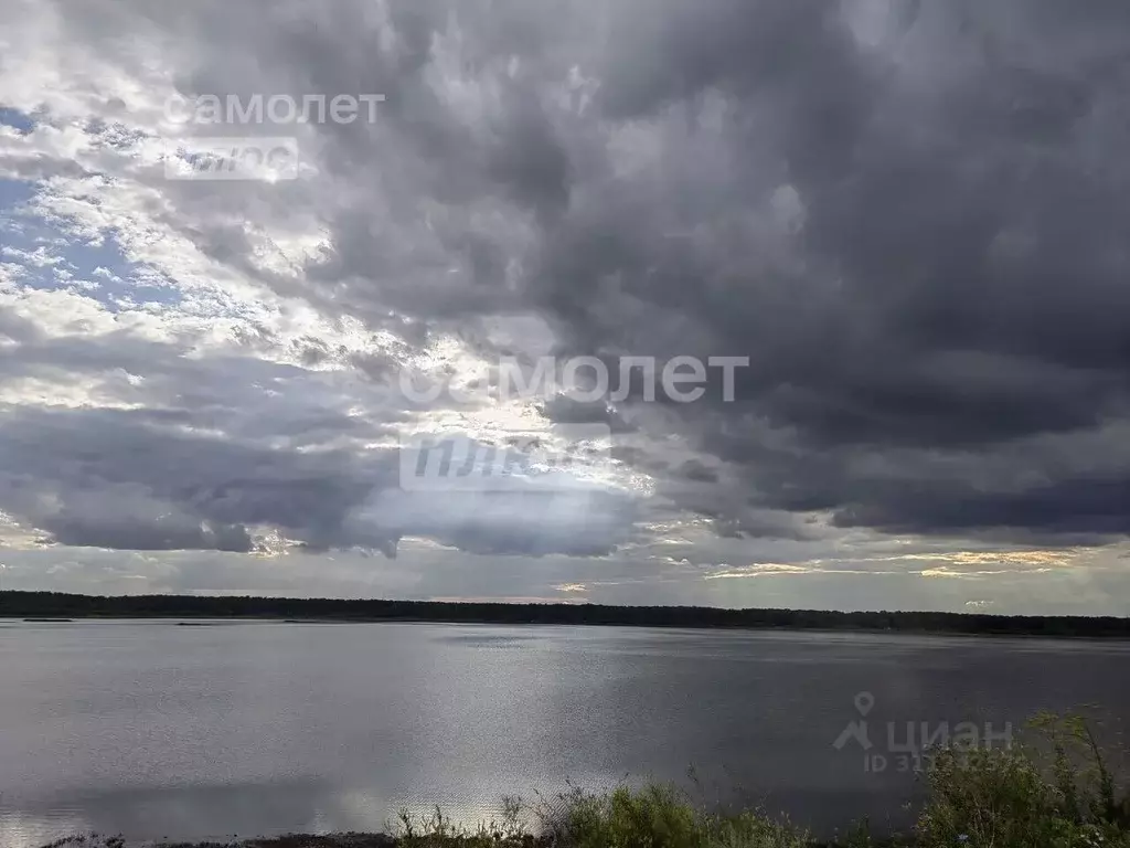 Участок в Челябинская область, Копейск Шахтер СНТ, 586Н (10.0 сот.) - Фото 1