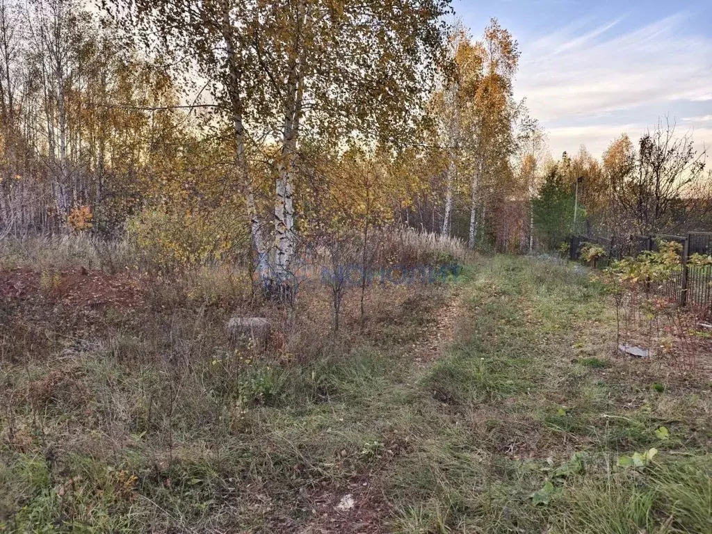 Участок в Нижегородская область, Нижний Новгород с. Новые Ключищи, ул. ... - Фото 1