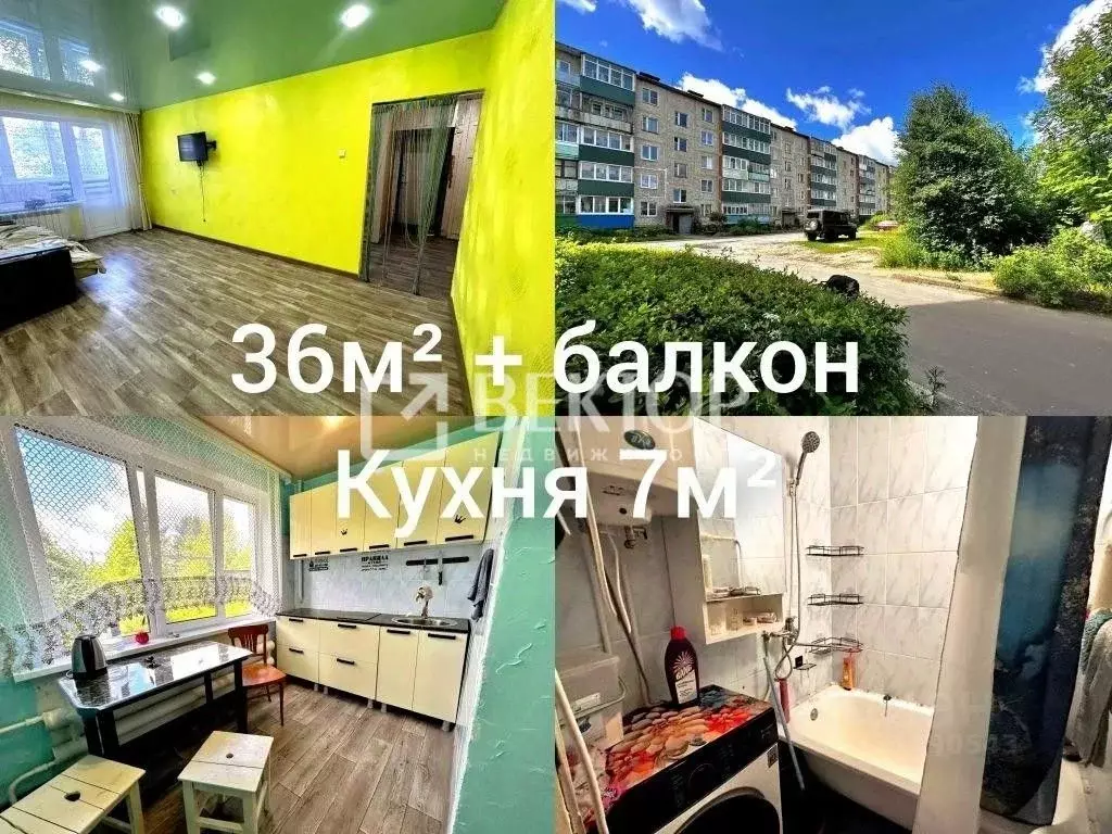 1-к кв. Ивановская область, пос. Пестяки ул. Калинина (49.2 м) - Фото 2