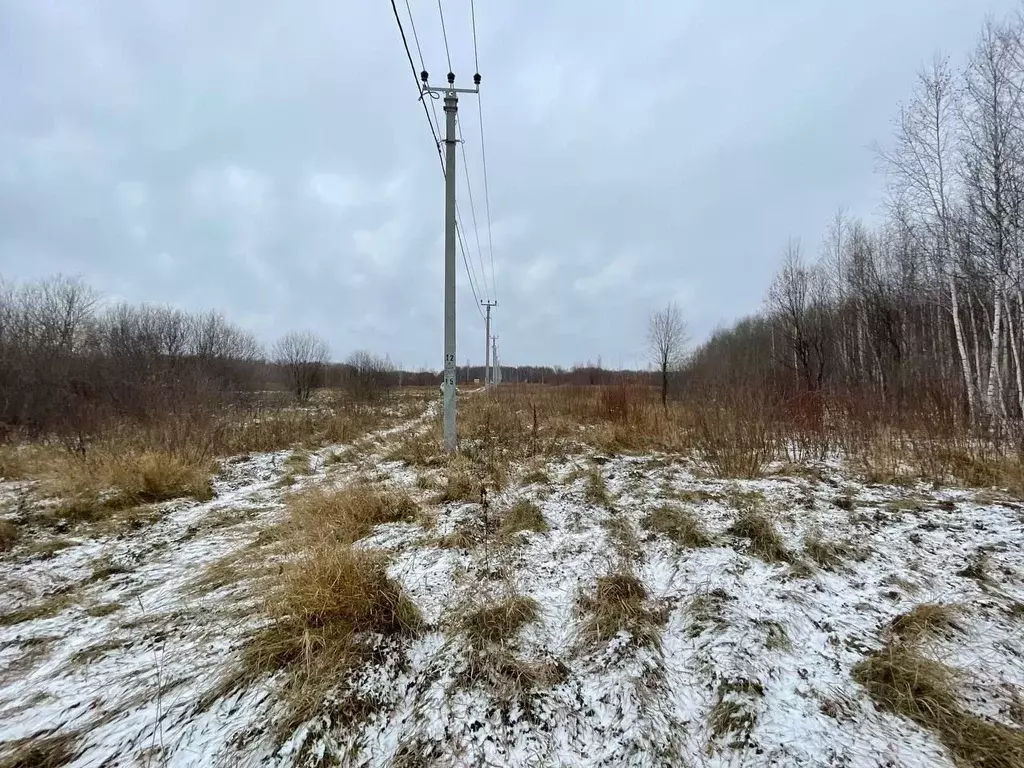 Участок в Тюменская область, Тюменский район, с. Горьковка Сибирская ... - Фото 0