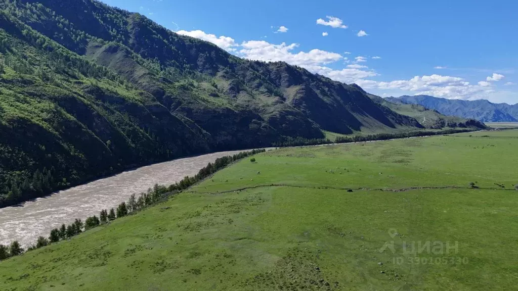 Участок в Алтай, Чемальский район, Куюсское с/пос  (1.68 га.) - Фото 2