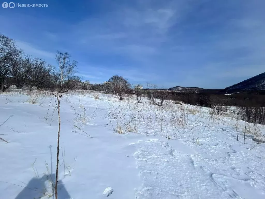 Участок в Камчатский край, Мильковский муниципальный округ, село ... - Фото 1