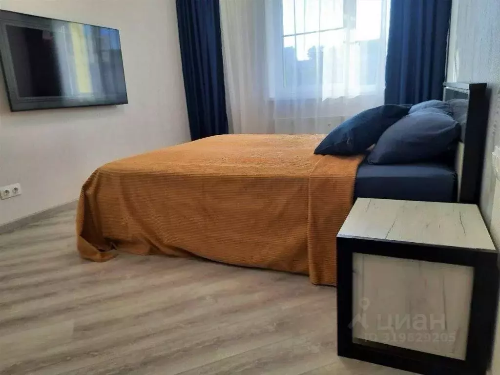 1-к кв. Хабаровский край, Хабаровск ул. Павловича, 11А/2 (50.0 м) - Фото 2